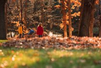 Трое детей играли в куче листьев, США — стоковое фото