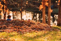 Dois meninos brincando em uma pilha de folhas, Estados Unidos — Fotografia de Stock