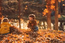 Dois meninos brincando em uma pilha de folhas, Estados Unidos — Fotografia de Stock