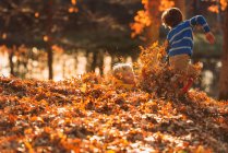 Two boys playing in a pile of leaves, United States — Stock Photo