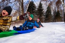 Three boys on a sledge laughing, Wisconsin, United States — Stock Photo