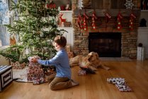Niño desempacar regalo y perro descansando en el interior decorado de Navidad - foto de stock