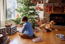 Хлопчик розпаковує подарунок і собаку, що відпочиває в різдвяному декорованому інтер'єрі — стокове фото