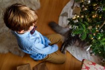 Boy kneeling by a Christmas tree playing with his cat — Stock Photo