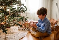 Menino pendurado decorações em uma árvore de Natal — Fotografia de Stock