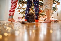 Primer plano de las piernas de tres niños y un gato de pie junto a un árbol de Navidad - foto de stock