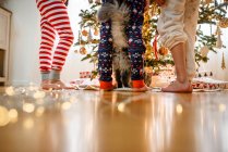 Close-up of three children's legs and a cat while decorating a Christmas tree — Stock Photo