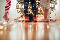 Nahaufnahme von drei Kinderbeinen und einer Katze beim Schmücken eines Weihnachtsbaums — Stockfoto