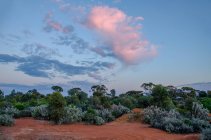 Paisaje del desierto al atardecer, Pilbara, Australia Occidental, Australia - foto de stock