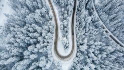 Vue aérienne d'une route sinueuse traversant une forêt enneigée, Bosnie-Herzégovine — Photo de stock