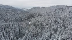 Estrada através de uma floresta nevada, Monte Trebevic, Sarajevo, Bósnia e Herzegovina — Fotografia de Stock