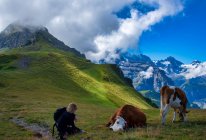 Caminhante ajoelhada ao lado de vacas em Alpes Suíços, Suíça — Fotografia de Stock