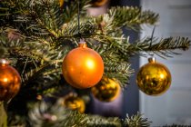 Крупный план безделушек, висящих на рождественской елке — стоковое фото