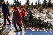 Father and three children carrying christmas tree in snowy outdoor scene — Stock Photo