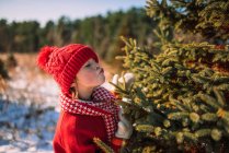 Girl standing in a field on a Christmas tree farm kissing a tree, United States — Stock Photo