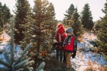 Drei Kinder wählen einen Weihnachtsbaum auf einer Weihnachtsbaumfarm in den Vereinigten Staaten — Stockfoto