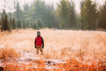 Хлопчик, що взимку стоїть на полі (США). — стокове фото