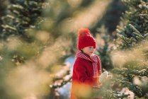 Mädchen wählt einen Weihnachtsbaum auf einer Weihnachtsbaumfarm, Vereinigte Staaten — Stockfoto