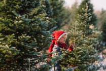 Menino escolhendo uma árvore de Natal em uma fazenda de árvore de Natal, Estados Unidos — Fotografia de Stock