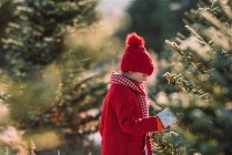 Menina de pé em um campo escolhendo uma árvore de Natal, Estados Unidos — Fotografia de Stock