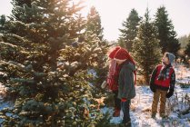 Trois enfants choisissent un arbre de Noël sur une ferme d'arbres de Noël, États-Unis — Photo de stock