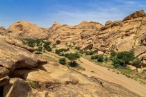 Arbres poussant dans un paysage montagneux, Arabie Saoudite — Photo de stock