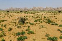 Desert mountain landscape, Saudi Arabia — Stock Photo