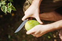 Mann schneidet mit Messer eine Mango, Seychellen — Stockfoto