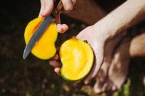 Человек режет манго ножом, Сейшелы — стоковое фото