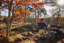 Boy jumping in the air in a forest, Stati Uniti — Foto stock