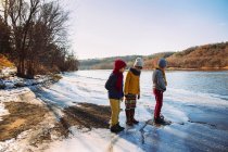 Трое детей стоят на краю замёрзшего озера, США — стоковое фото
