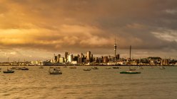 Salida del sol de la hora dorada en Auckland, Isla Norte, Nueva Zelanda - foto de stock