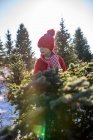 Chica de pie en un campo eligiendo un árbol de Navidad, Estados Unidos - foto de stock