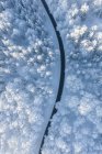 Fiume coperto di neve nella foresta invernale — Foto stock
