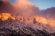 Malerischer Blick auf endlos schöne Berge mit Bäumen am nebligen Morgen — Stockfoto