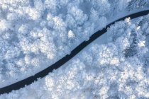 Vue aérienne de la forêt enneigée. un paysage hivernal avec le soleil — Photo de stock