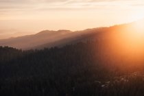 Malerischer Blick auf endlos schöne Berge mit Bäumen am nebligen Morgen — Stockfoto