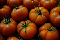 Pile of fresh raw tomatoes , close view — Stock Photo