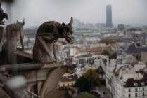 Nahaufnahme von Wasserspeiern an der Kathedrale Notre Dame, Paris, Frankreich — Stockfoto