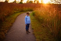 Мальчик, стоящий на тропе у поля на закате, США — стоковое фото