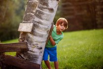 Ragazzo nascosto dietro un forte di alberi, Stati Uniti — Foto stock