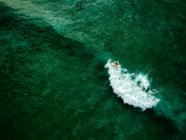 Surfista remando para pegar uma onda, Bondi Beach, Nova Gales do Sul, Austrália — Fotografia de Stock