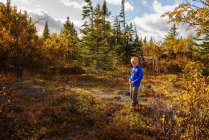 Boy standing in a forest in summer, Lake Superior Provincial Park, United States — Stock Photo