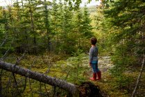 Niño parado en un bosque en verano, Lake Superior Provincial Park, Estados Unidos - foto de stock