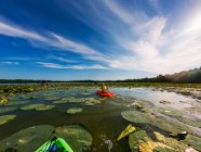 Chico kayak en el lago lleno de nenúfares - foto de stock