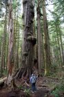 Visão traseira de uma mulher em pé na floresta olhando para uma árvore alta, Avatar Grove, Vancouver Island, British Columbia, Canadá — Fotografia de Stock