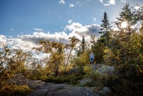 Boy hiking through a forest, Lake Superior Provincial Park, United States — Stock Photo