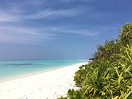 Playa tropical en Maldivas - foto de stock