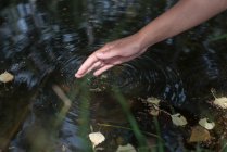 Frau taucht ihre Hand in einen Fluss, Bulgarien — Stockfoto