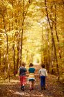 Trois enfants marchant le long d'un sentier dans la forêt au début de l'automne, États-Unis — Photo de stock